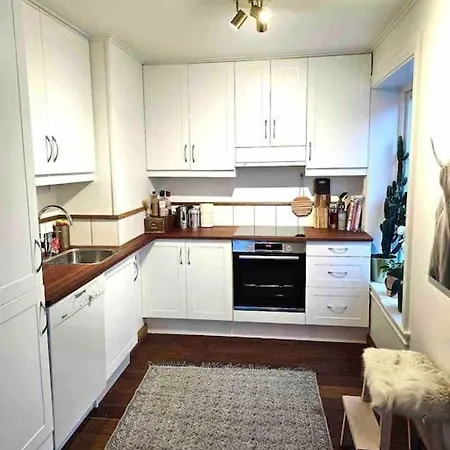 Apartman Sentral Loftsleilighet Med Sjoutsikt *