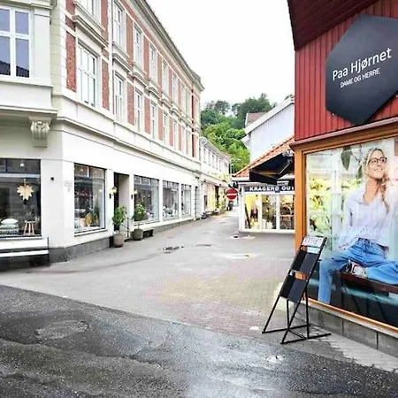 Sentral Loftsleilighet Med Sjoutsikt *