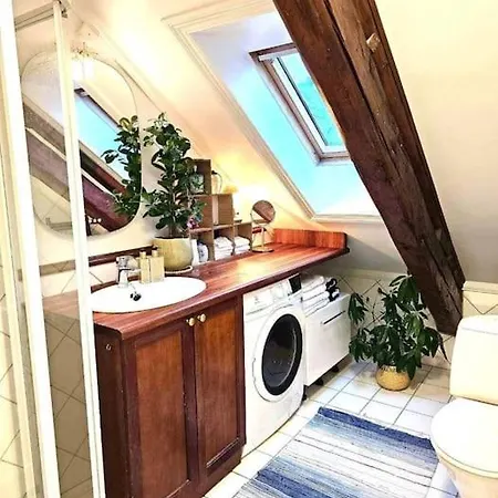 Sentral Loftsleilighet Med Sjoutsikt Kragero